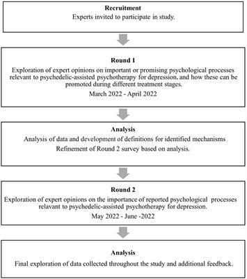 How psychedelic-assisted therapy works for depression: expert views and practical implications from an exploratory Delphi study